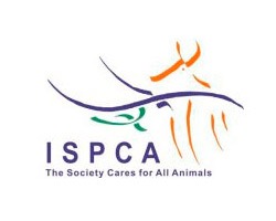 ISPCA | Emarkable Client Case Study - Emarkable.ie