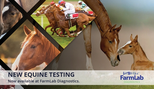 Farmlab Diagnostics | Emarkable Case Study - Emarkable.ie
